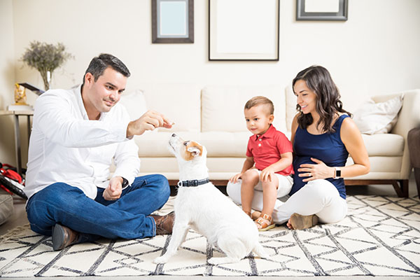 /articles/images/guide to home refinance family with dog.jpg